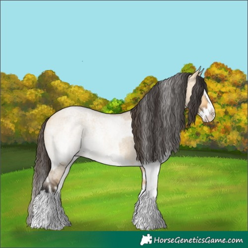 Horse Color:Buckskin Roan Dun Splash and White Spotted Buckskin Roan Dun Splash