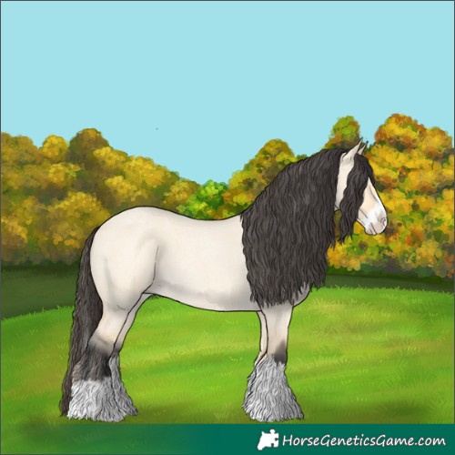 Horse Color:Buckskin Roan Dun Splash 