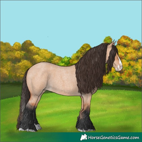 Horse Color:Bay Roan Dun Splash 