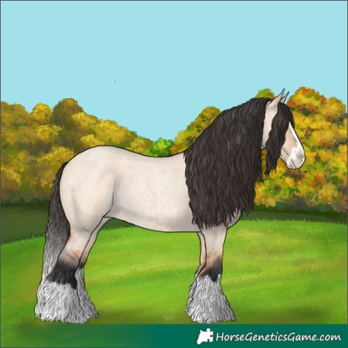 Horse Color:Bay Roan Dun Splash 