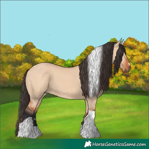 Horse Color:Bay Dun Tobiano