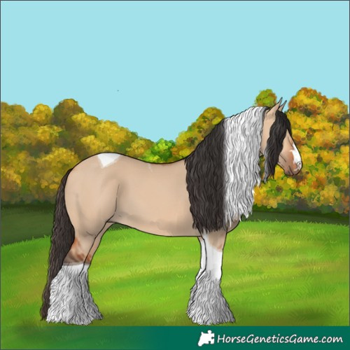 Horse Color:Bay Dun Tobiano