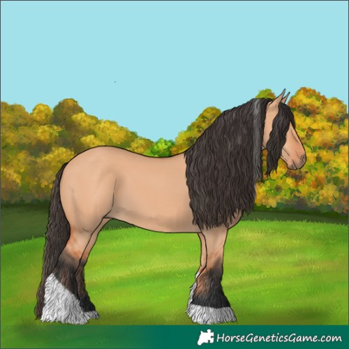 Horse Color:Bay Dun Tobiano