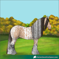 Horse Color:Bay Dun Tobiano and Amber Champagne Dun Tobiano
