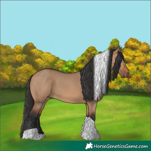 Horse Color:Bay Dun Tobiano 