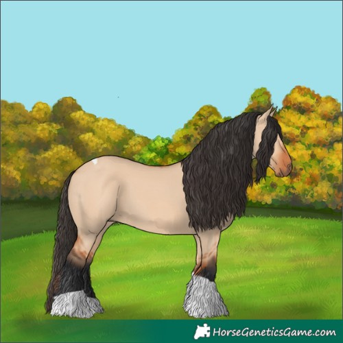 Horse Color:Bay Dun Tobiano