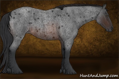 Horse Color:Brown Roan Rabicano 