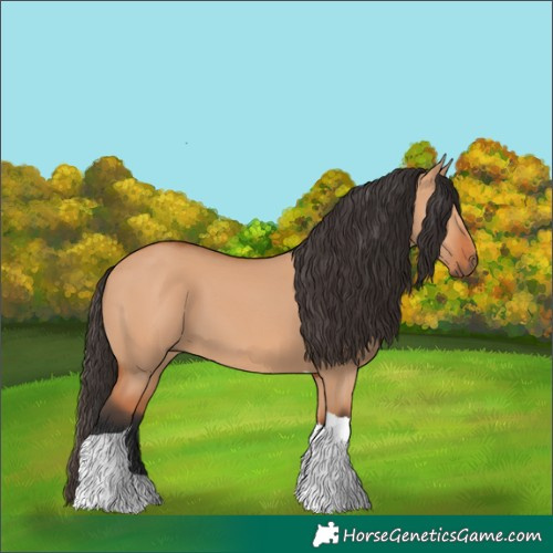 Horse Color:Bay Dun Tobiano 