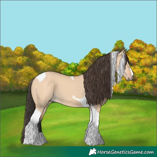 Horse Color:Bay Dun Tobiano 