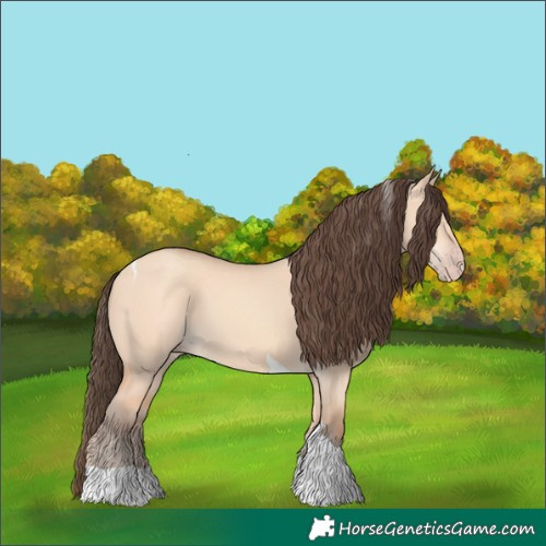 Horse Color:Amber Champagne Dun Tobiano 