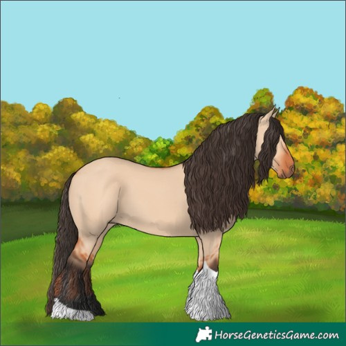 Horse Color:Bay Dun Tobiano 