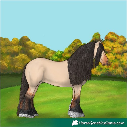 Horse Color:Bay Dun Tobiano 
