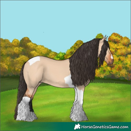 Horse Color:Bay Dun Tobiano 