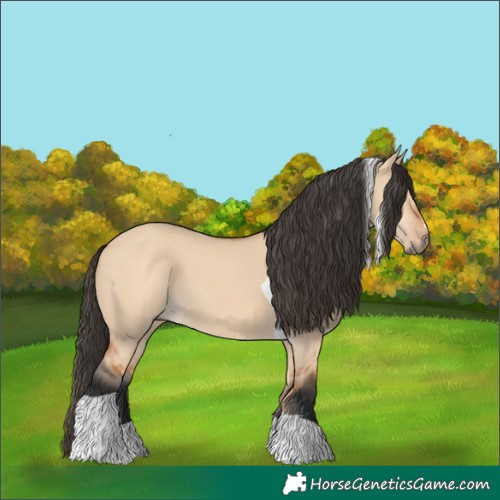Horse Color:Bay Dun Tobiano 