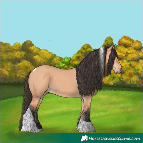 Horse Color:Bay Dun Tobiano 