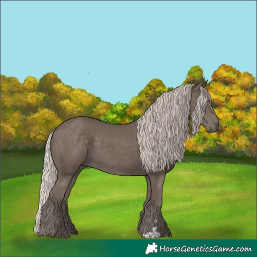 Horse Color:Silver Black