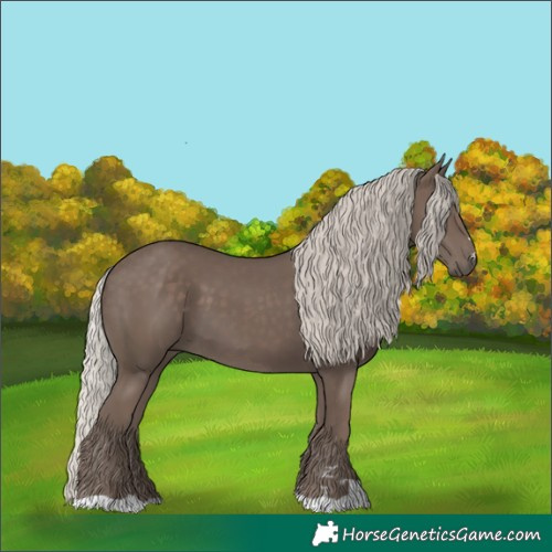 Horse Color:Silver Black