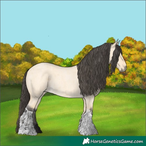 Horse Color:Buckskin Roan Dun Tobiano  and Buckskin Roan Dun Tobiano 