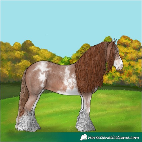 Horse Color:White Spotted Chestnut Sabino 