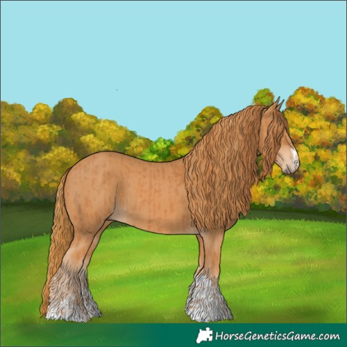 Horse Color:Chestnut  and Chestnut 