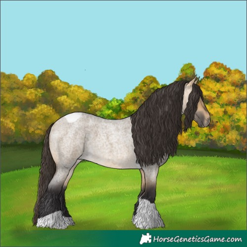 Horse Color:Buckskin Roan Dun Tobiano 