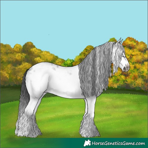 Horse Color:White Spotted Blue Roan Splash Frame Appaloosa