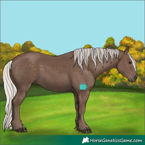 Horse Color:Silver Black 