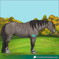 Horse Color:Smoky Grullo  and Smoky Grullo 