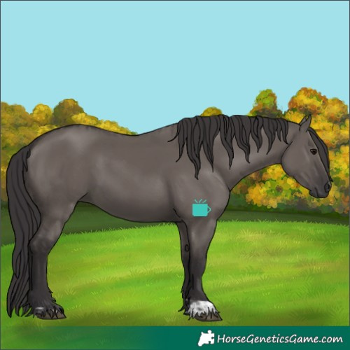 Horse Color:Smoky Grullo and Smoky Grullo
