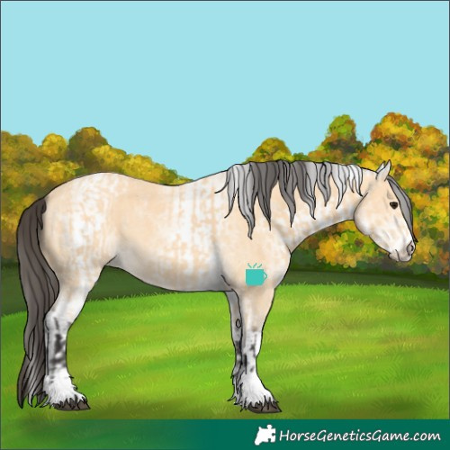 Horse Color:Buckskin and White Spotted Buckskin