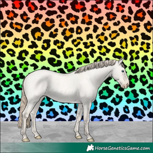 Horse Color:Smoky Creme Roan Dun 