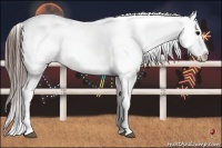 Horse Color:Brown Tobiano Near Leopard 