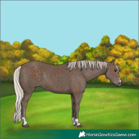 Horse Color:Silver Black and Silver Black