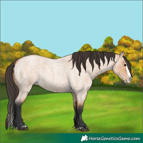 Horse Color:Bay Roan Dun Splash 