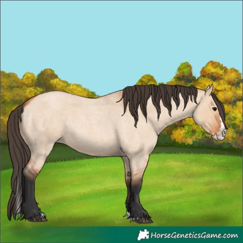 Horse Color:Bay Roan Dun Splash 