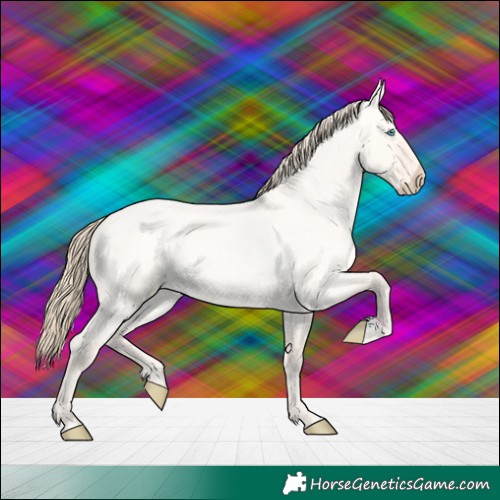 Horse Color:Perlino Roan Dun 