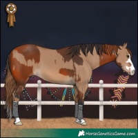 Horse Color:Bay and Red Dun