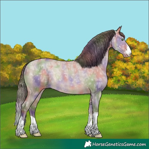 Horse Color:Nacre Sable Champagne Ice Dun Varnish Rabicano 