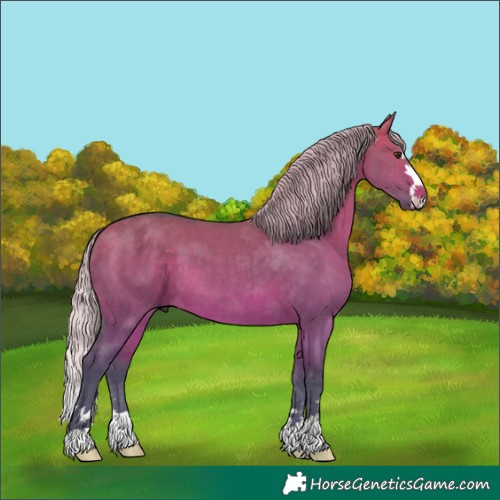Horse Color:Watercolor Silver Brown Dun 