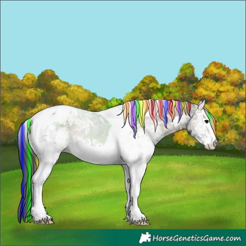 Horse Color:Painted White Spotted Blue Onyx Ice Tobiano Appaloosa
