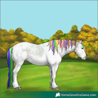 Horse Color:Painted White Spotted Blue Onyx Ice Tobiano Appaloosa 
