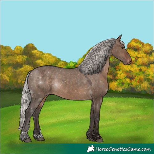 Horse Color:Silver Brown Dun Varnish 