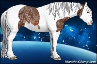 Horse Color:Bay Ice Splash Tobiano