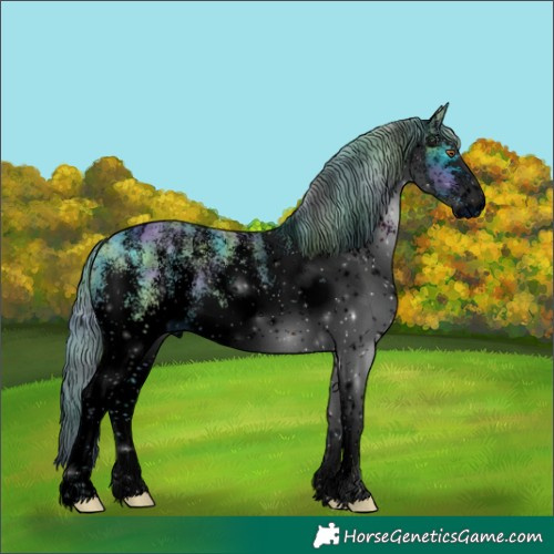 Horse Color:ERROR: UNKNOWN ANOMALY