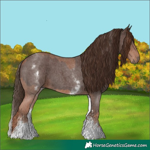 Horse Color:White Spotted Chestnut Sabino  and Gray White Spotted Chestnut Sabino 