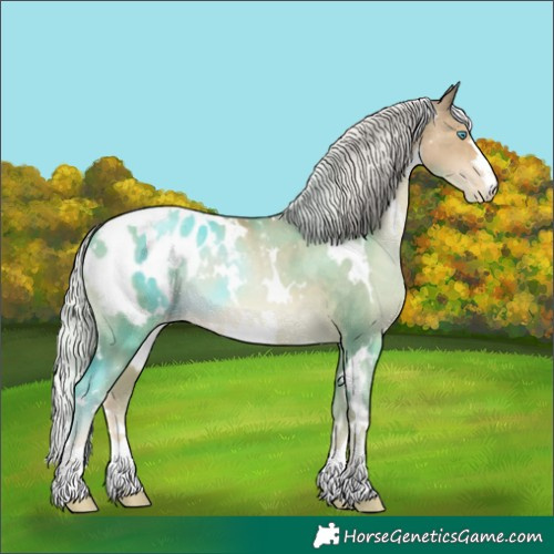 Horse Color:White Spotted Silver Black Snowdrop Pearl Appaloosa 