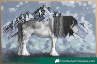 Horse Color:White Spotted Black 