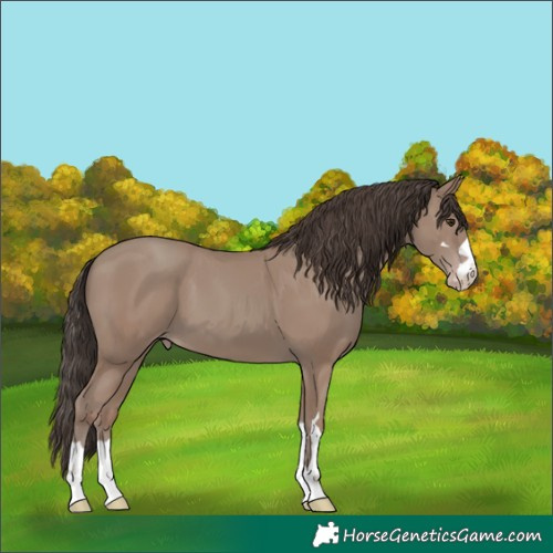 Horse Color:Classic Champagne 