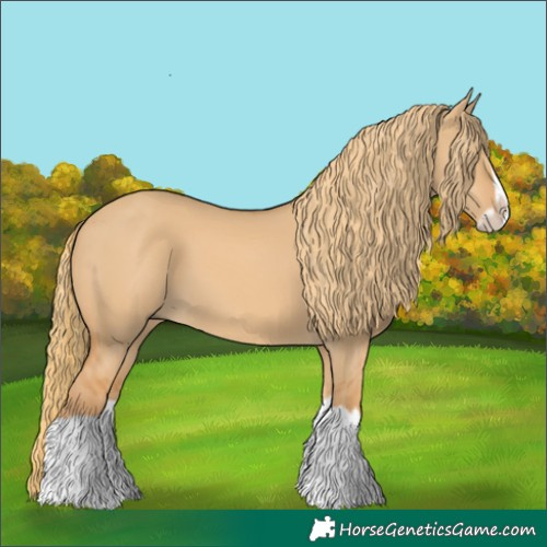Horse Color:Red Dun Splash Frame