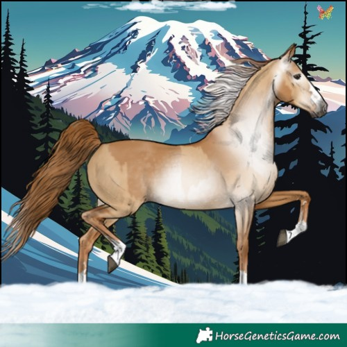 Horse Color:Gray Red Dun  and Gray Red Dun 